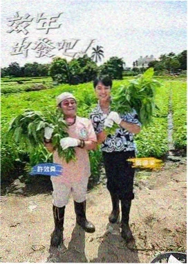 隐秘的角落
